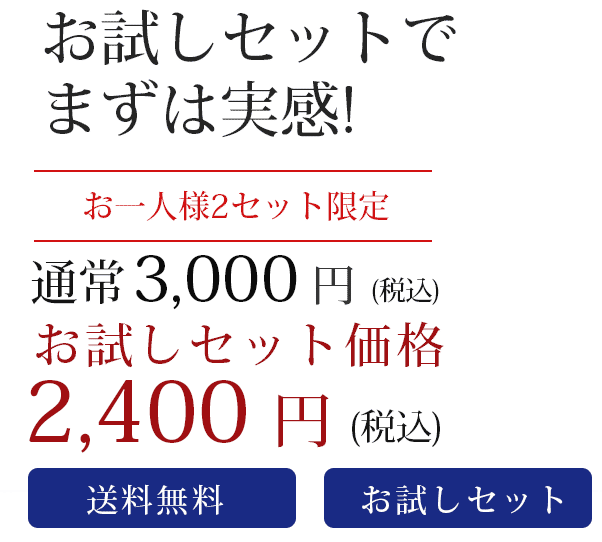 お試しセット価格2,400円